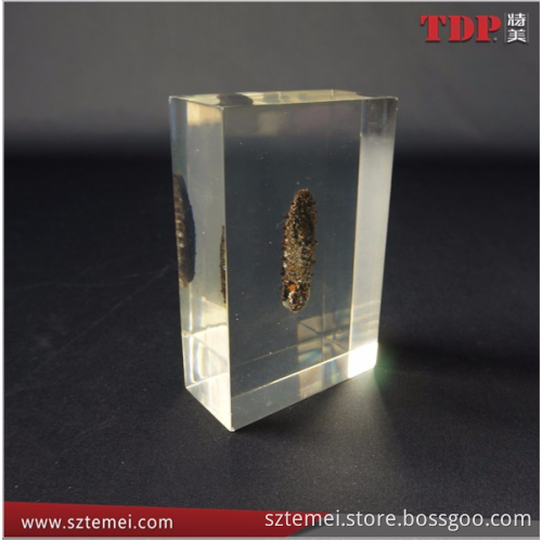 clear acrylic cube crystal glass block Embedded insect custom lucite paperweight
